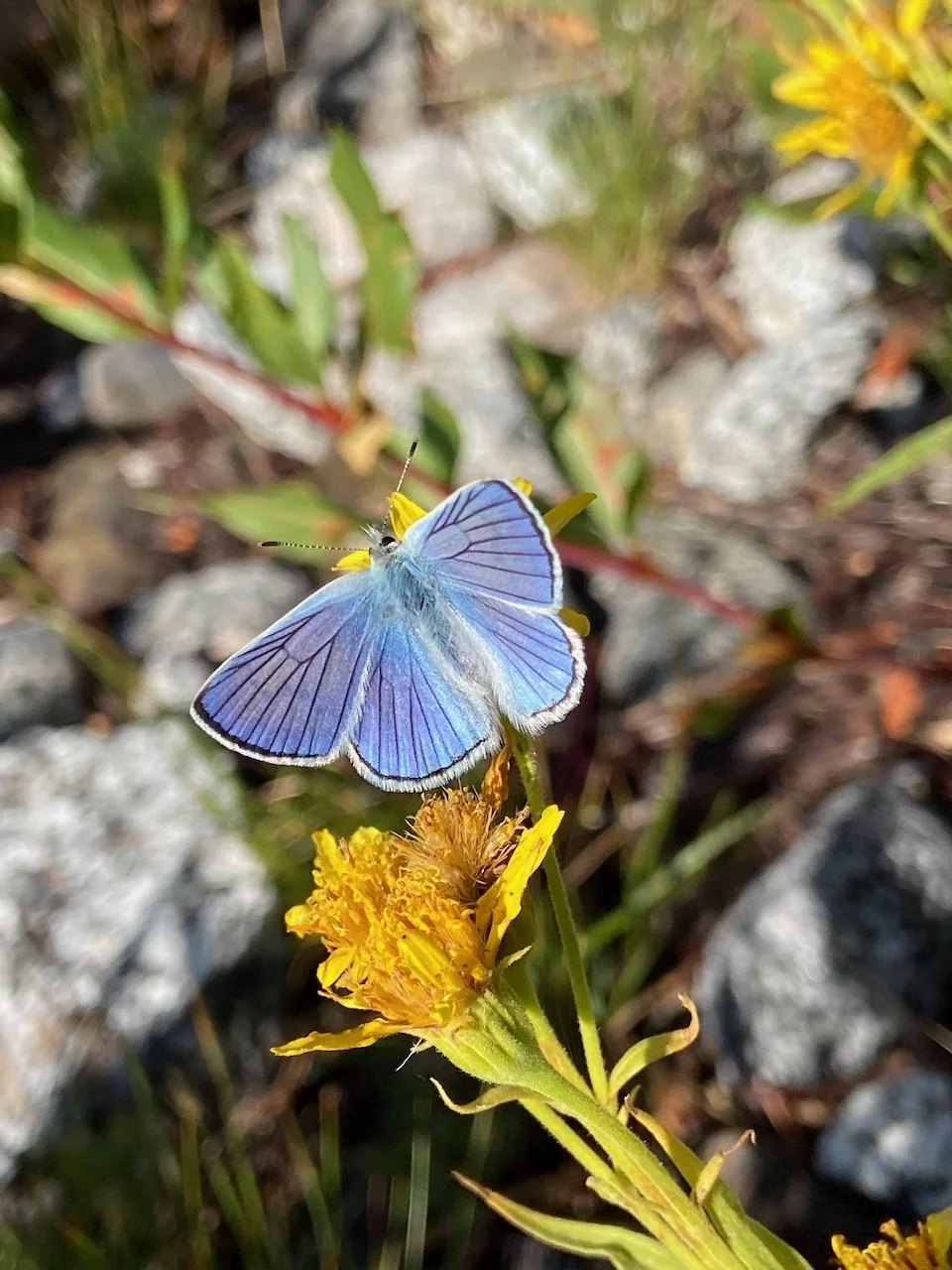 Life as an Unfolding Journey