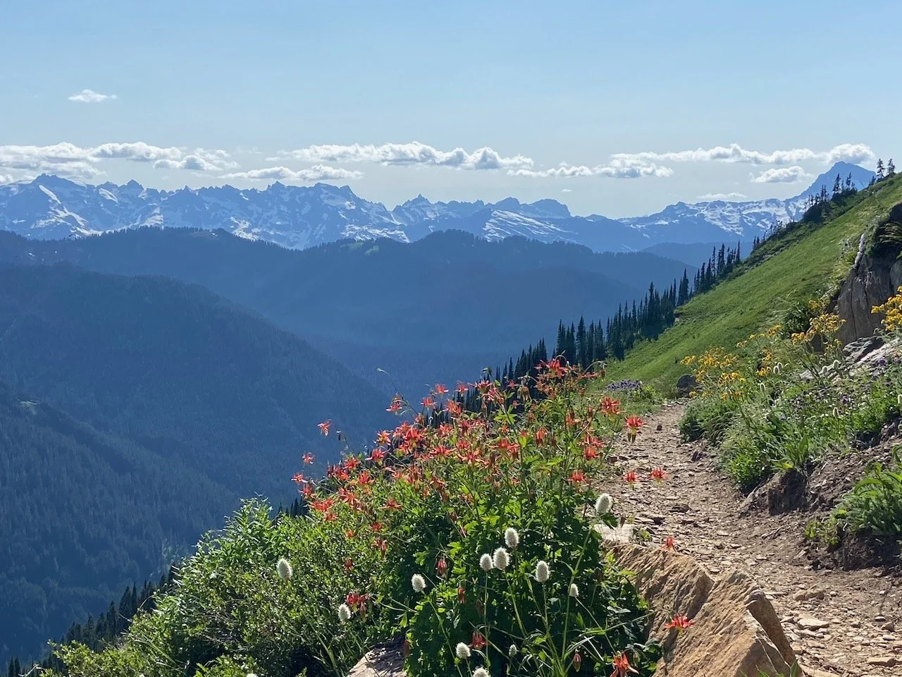 What a Room Full of Strangers Taught Me About Bridging Divides