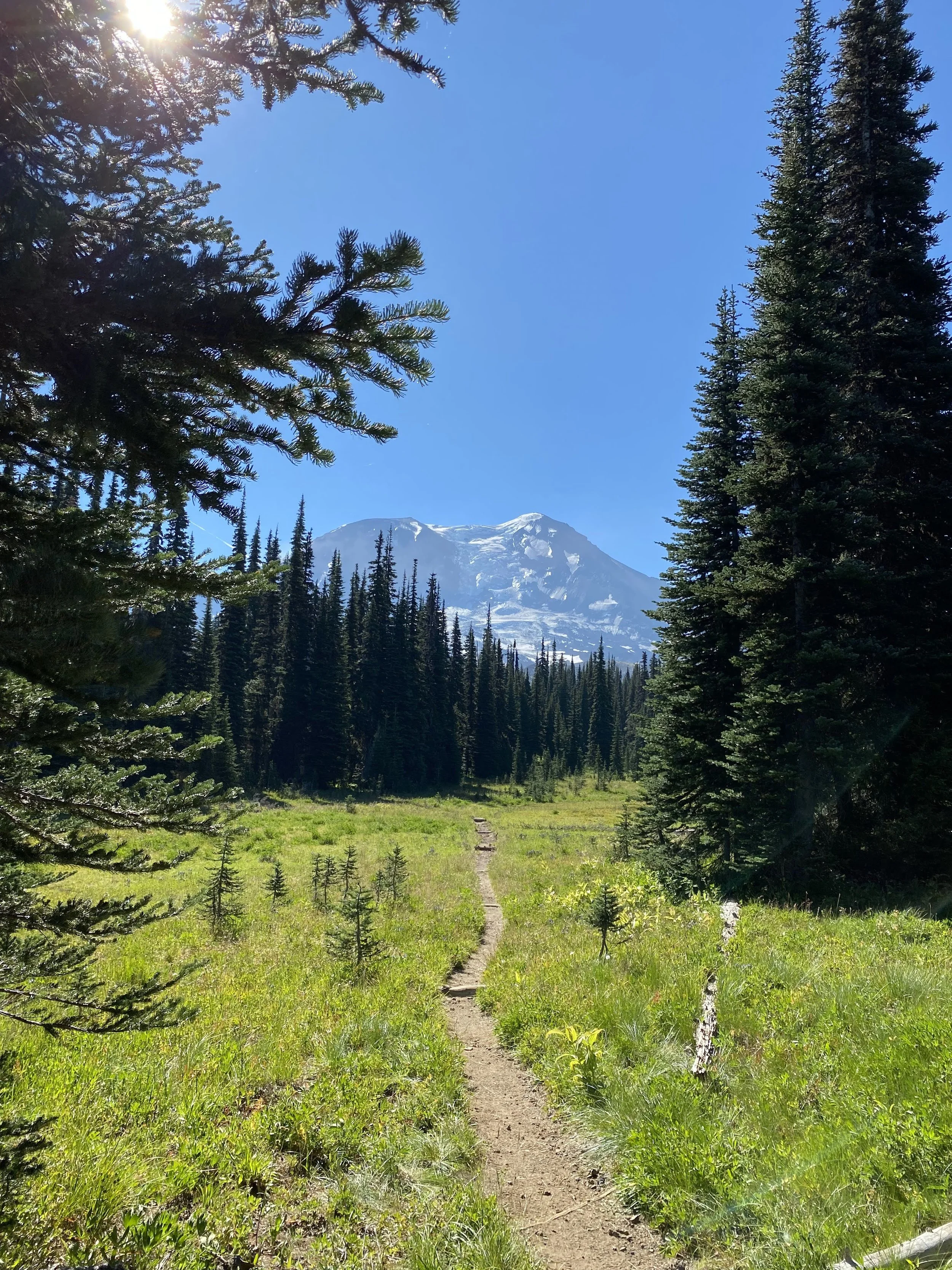 An Unfolding Life: Learning to Listen