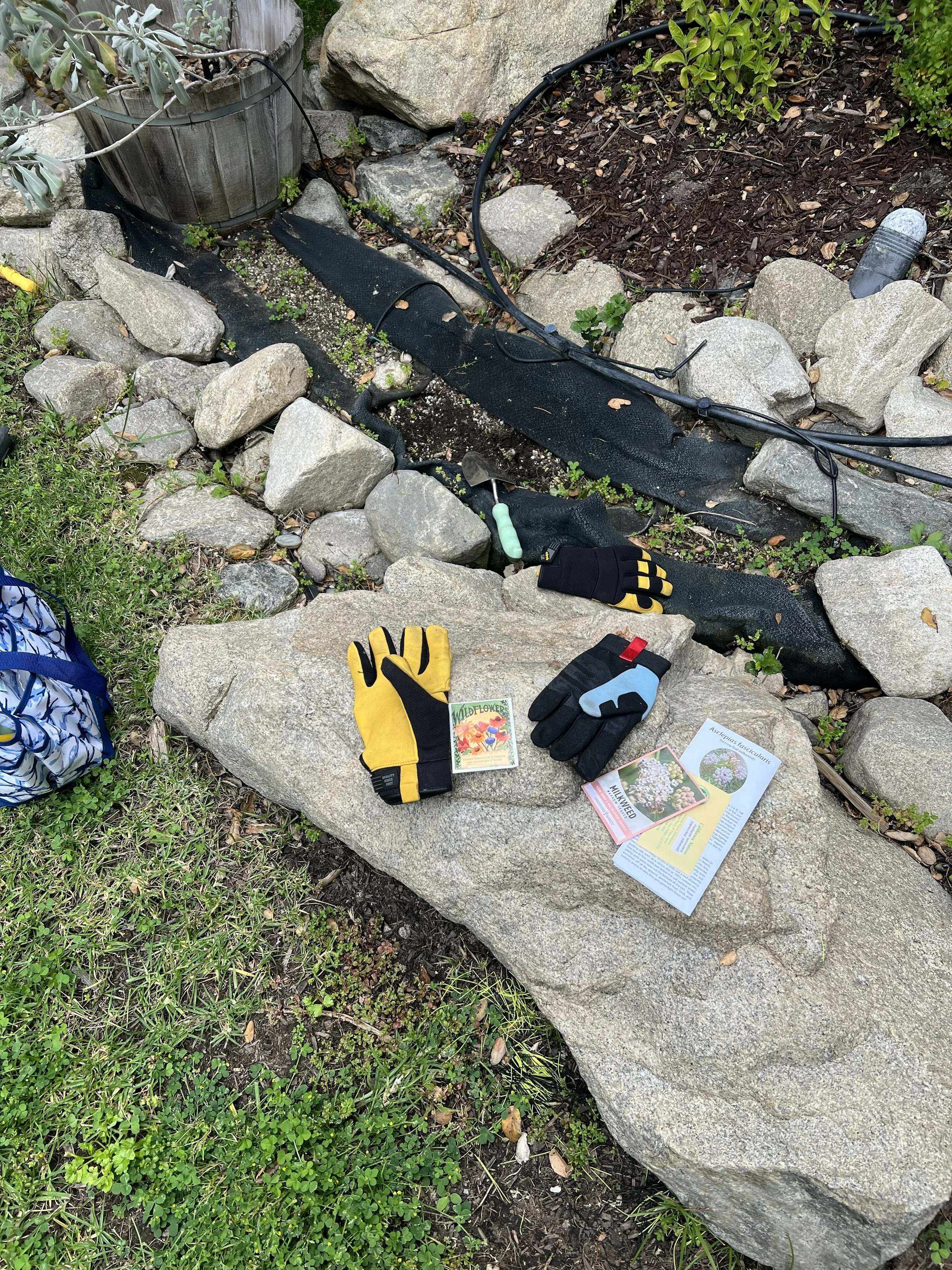 Home gardening