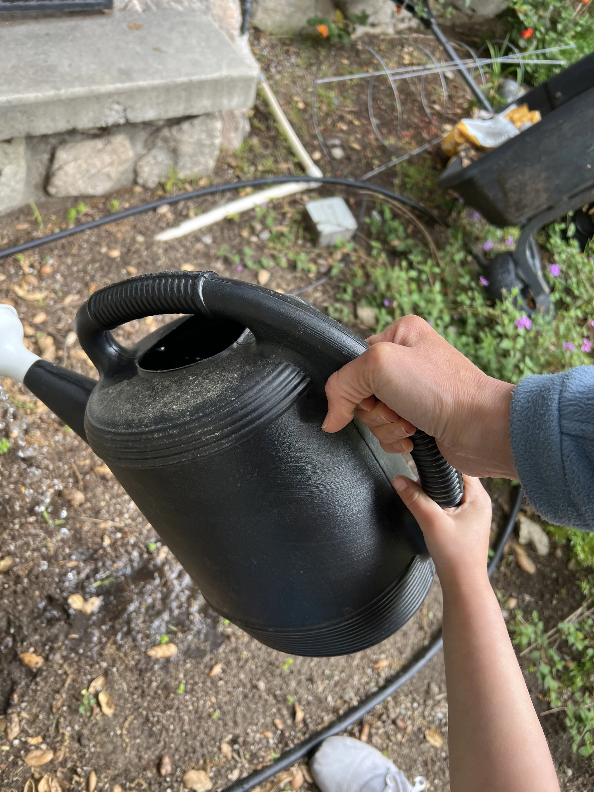 Planting - Backyard Watering Can Lo and Mom Hands.jpg