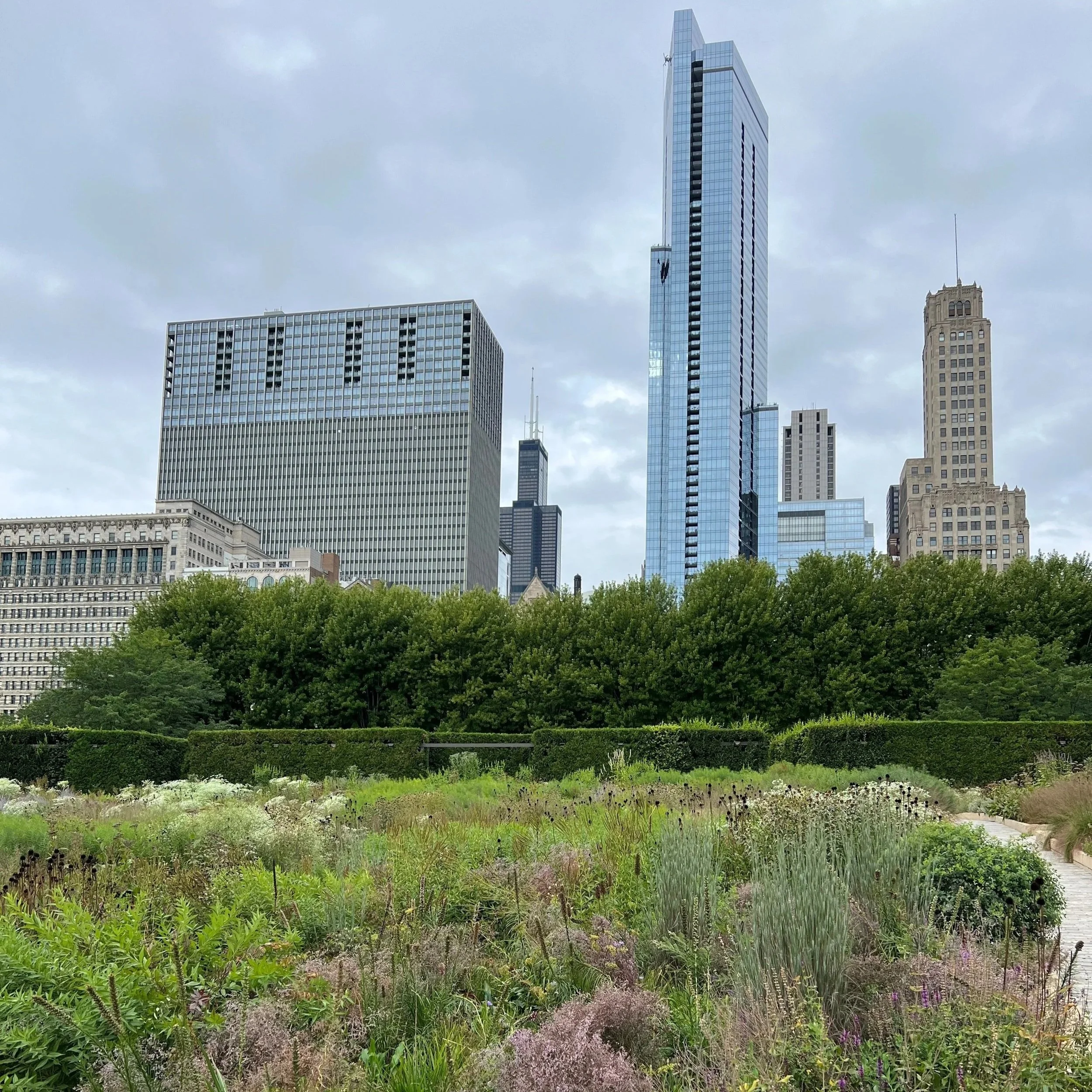 Celebrating Urban Botanical Gardens