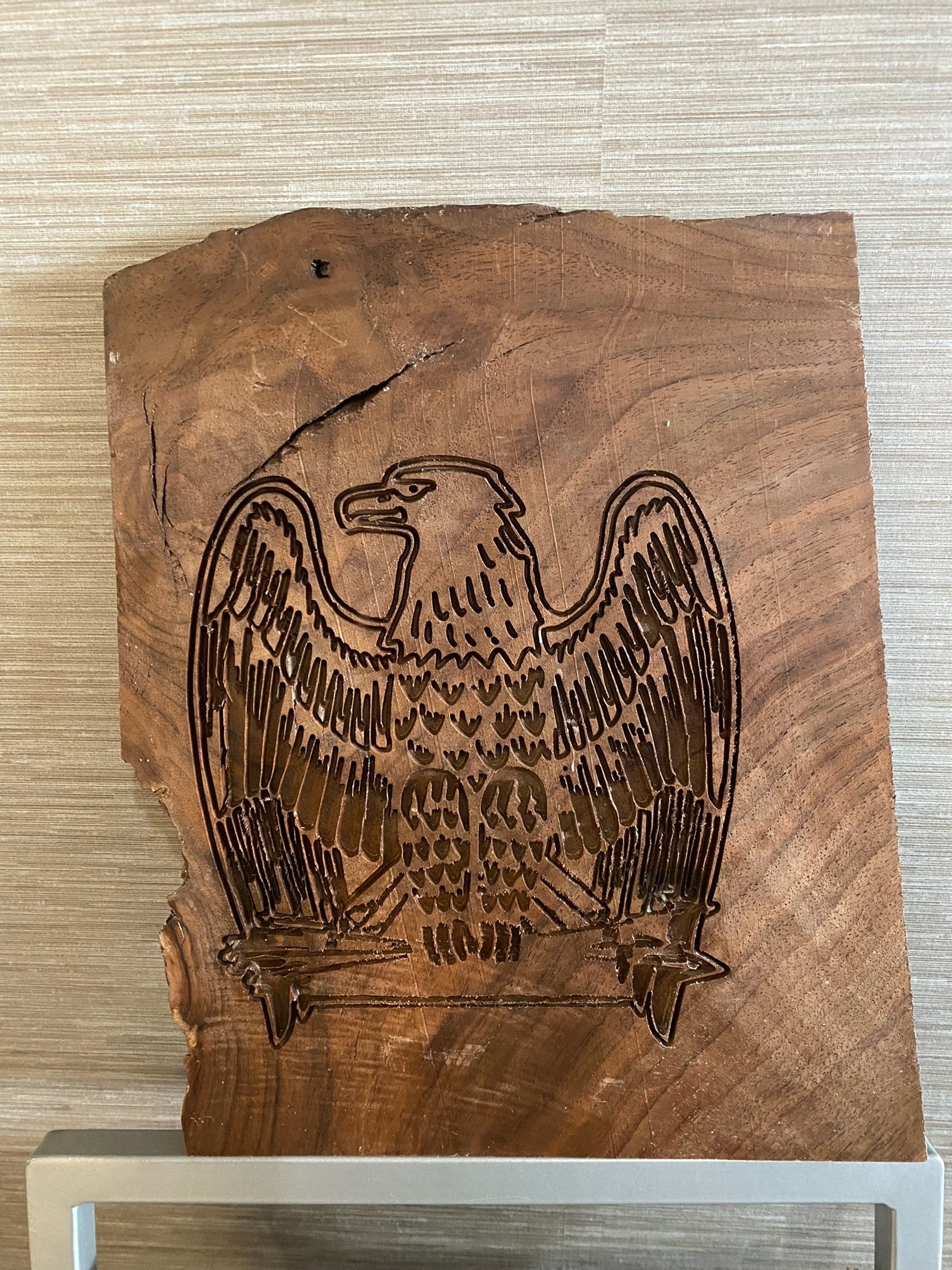 AMERICAN BALD EAGLE
