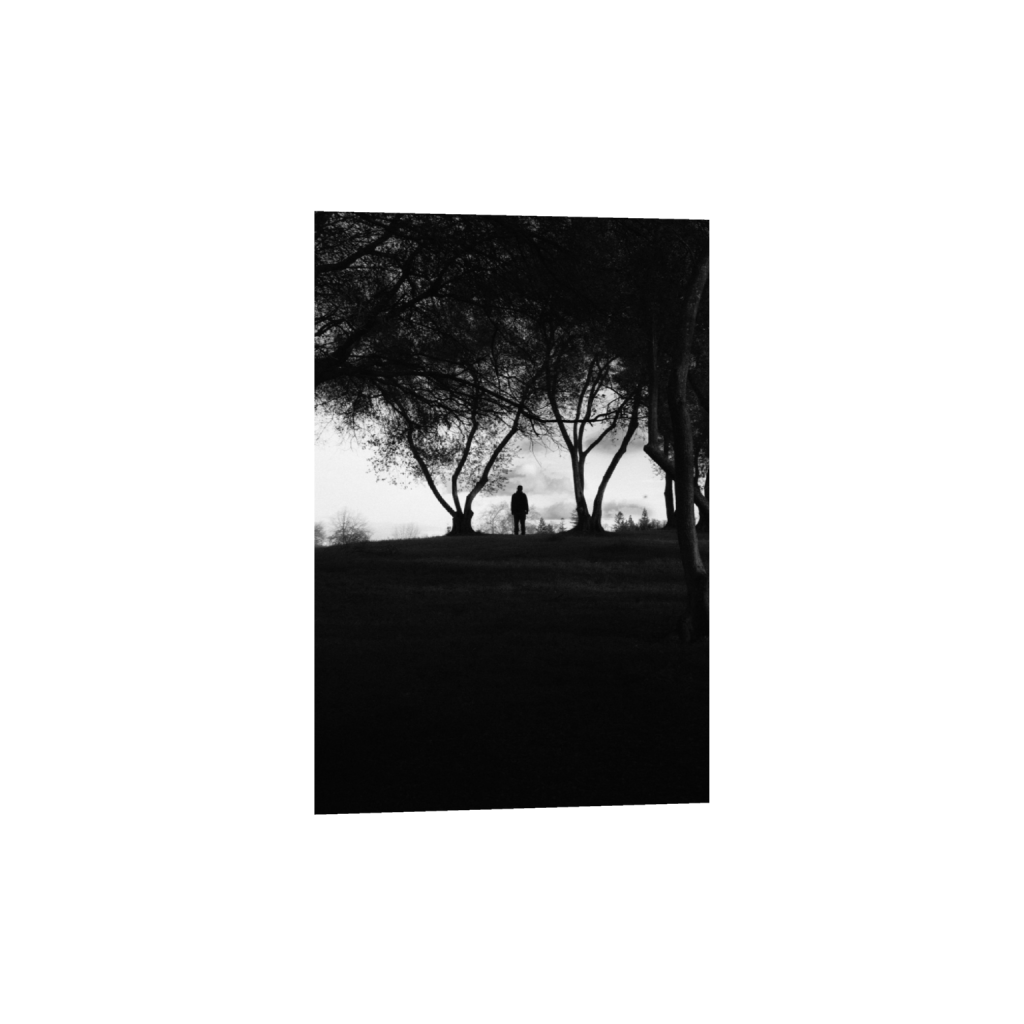 ptq_1_3_0_6_3991_5986_0_false_ffffff_0_0_.png