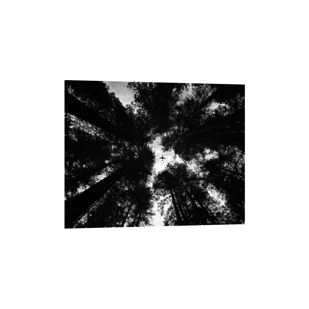 ptq_1_6_500_0_5000_4000_0_false_ffffff_0_0_.png