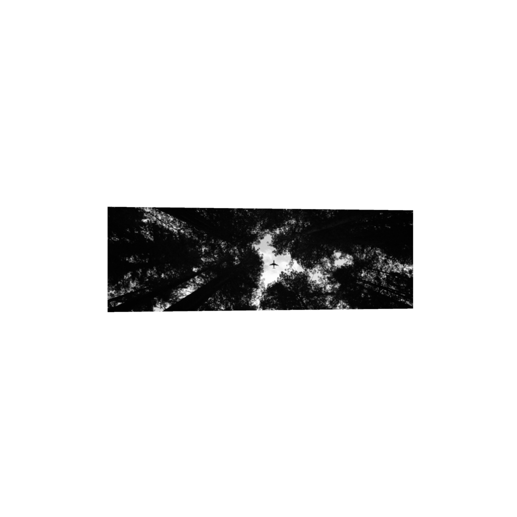 ptq_1_2_0_1000_6000_2000_0_false_ffffff_0_0_.png