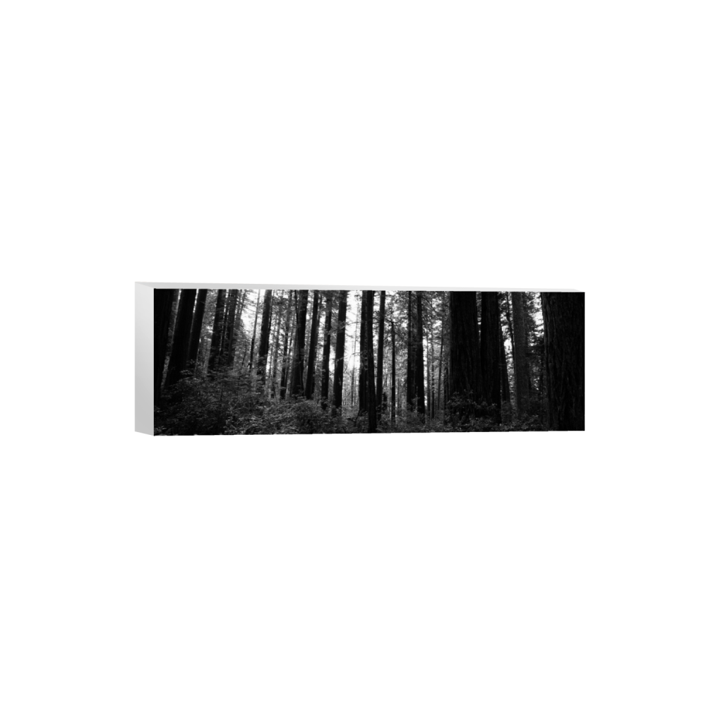 ptq_7_2_0_1000_6000_2000_0_false_ffffff_0_0_.png