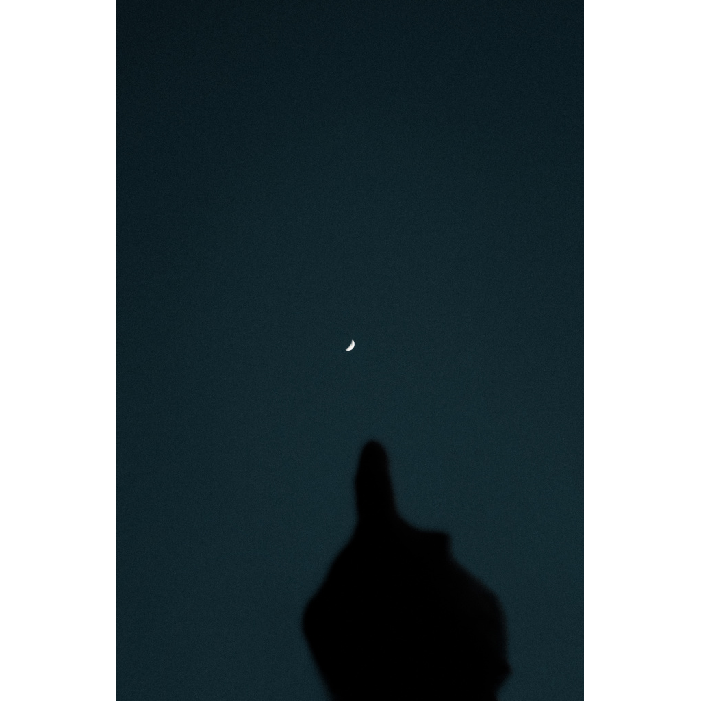image_original_.png