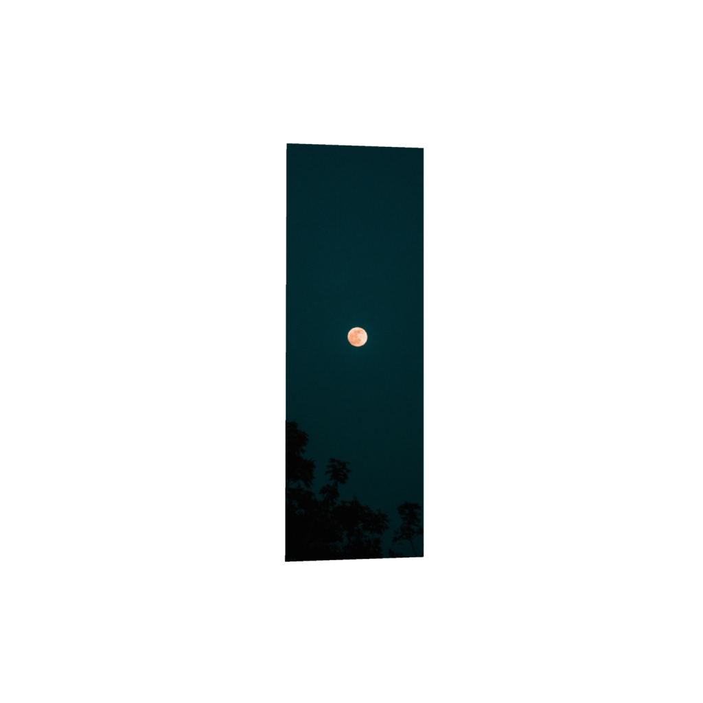 ptq_1_2_1000_0_2000_6000_0_false_ffffff_0_0_.png