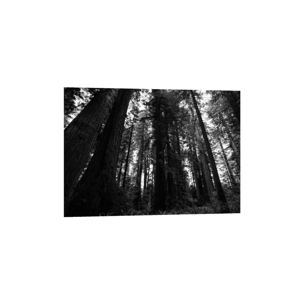 ptq_1_7_240_0_5600_4000_0_false_ffffff_0_0_.png