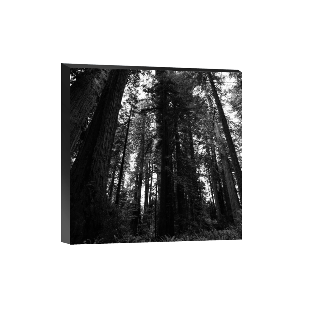 ptq_32_0_1000_0_4000_4000_0_false_ffffff_0_0_.png
