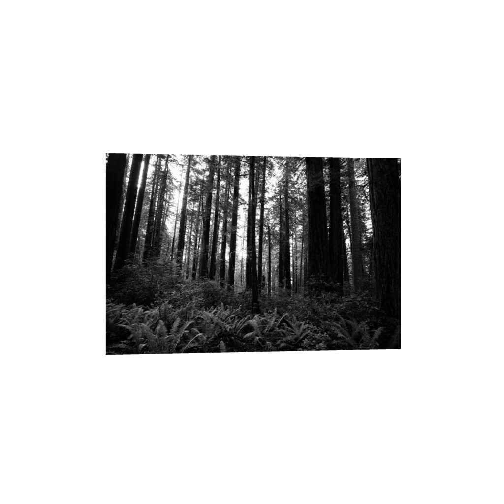 ptq_1_3_0_0_6000_4000_0_false_ffffff_0_0_.png