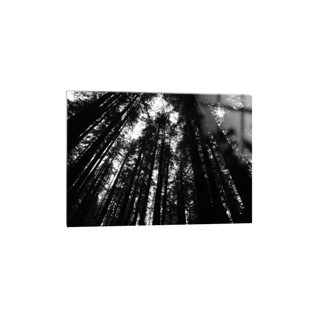 ptq_13_7_160_0_5600_4000_0_false_ffffff_0_0_.png