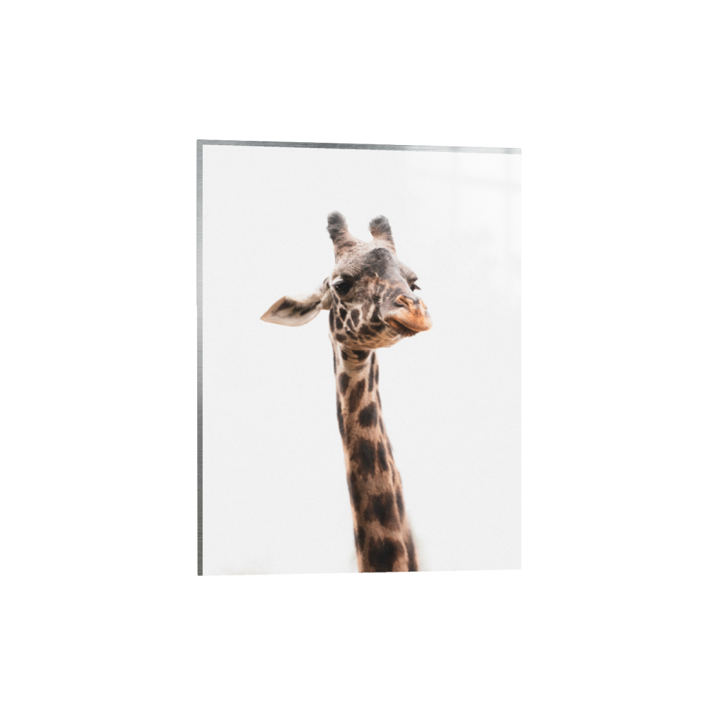 ptq_13_5_0_990_3755_5006_0_false_ffffff_0_0_.png
