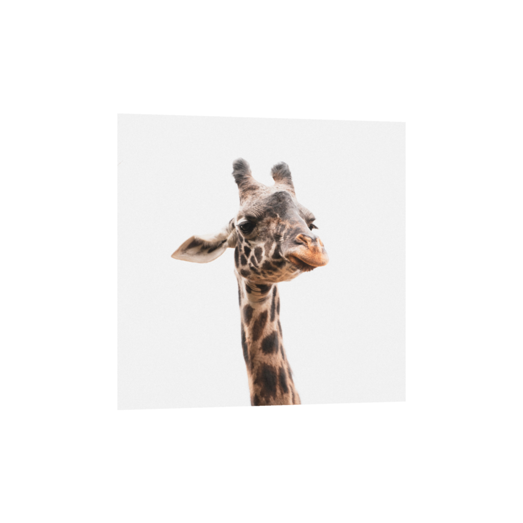 ptq_1_0_0_1196_3755_3755_0_false_ffffff_0_0_.png
