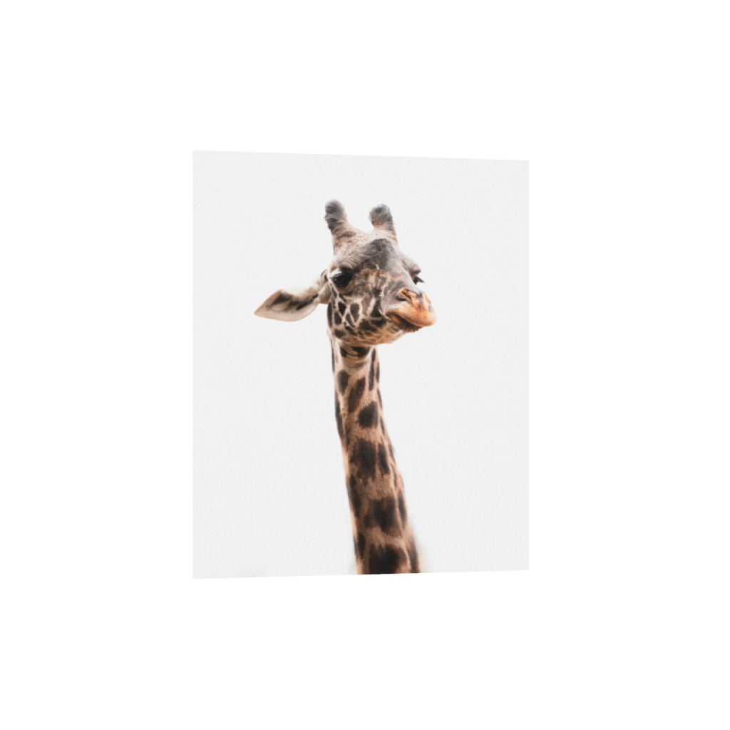 ptq_1_6_0_1223_3755_4693_0_false_ffffff_0_0_.png