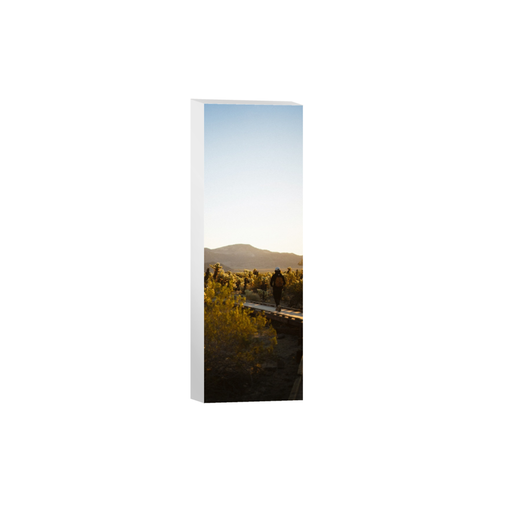 ptq_7_2_1230_0_2000_6000_0_false_ffffff_0_0_.png