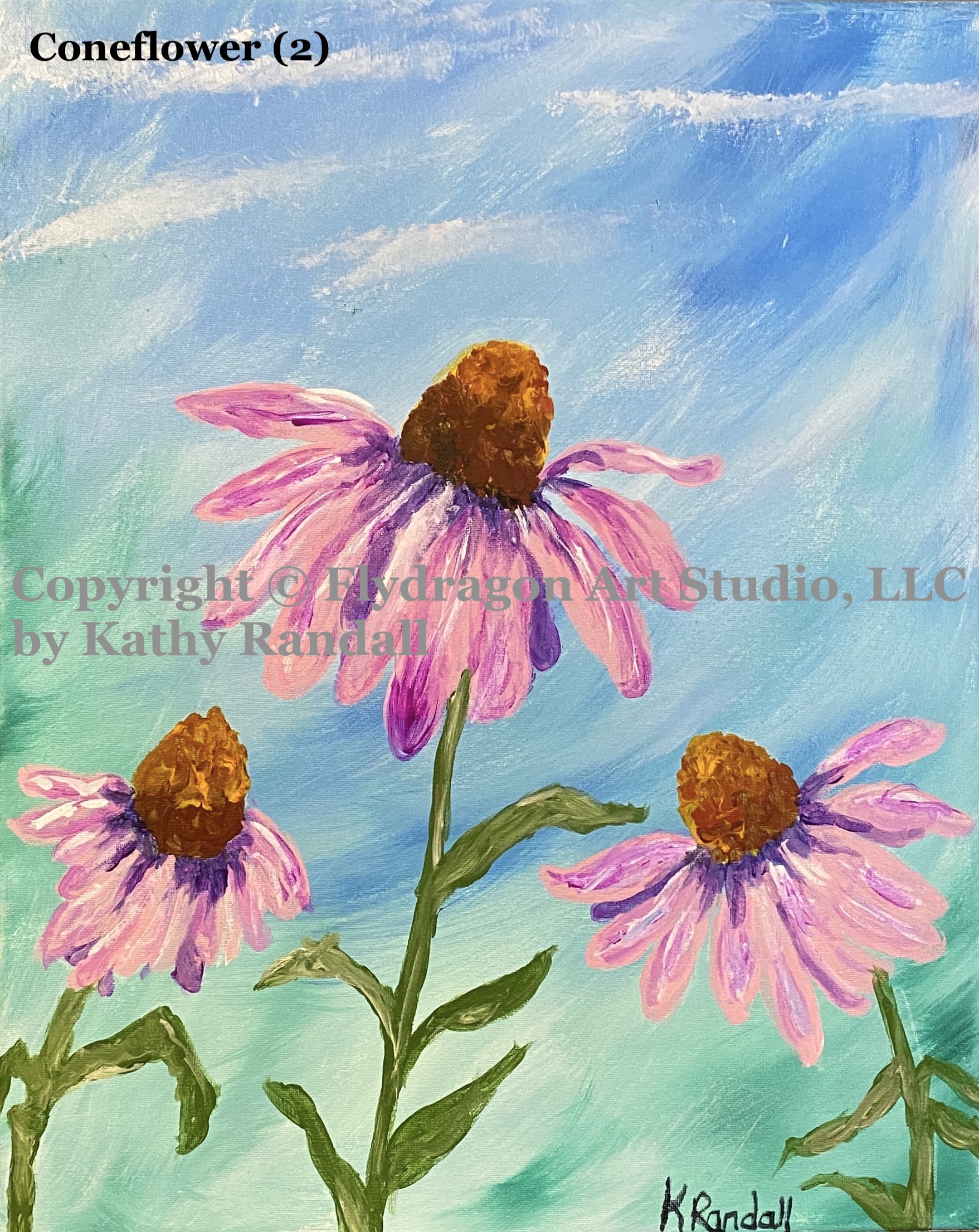 CONE FLOWERS
