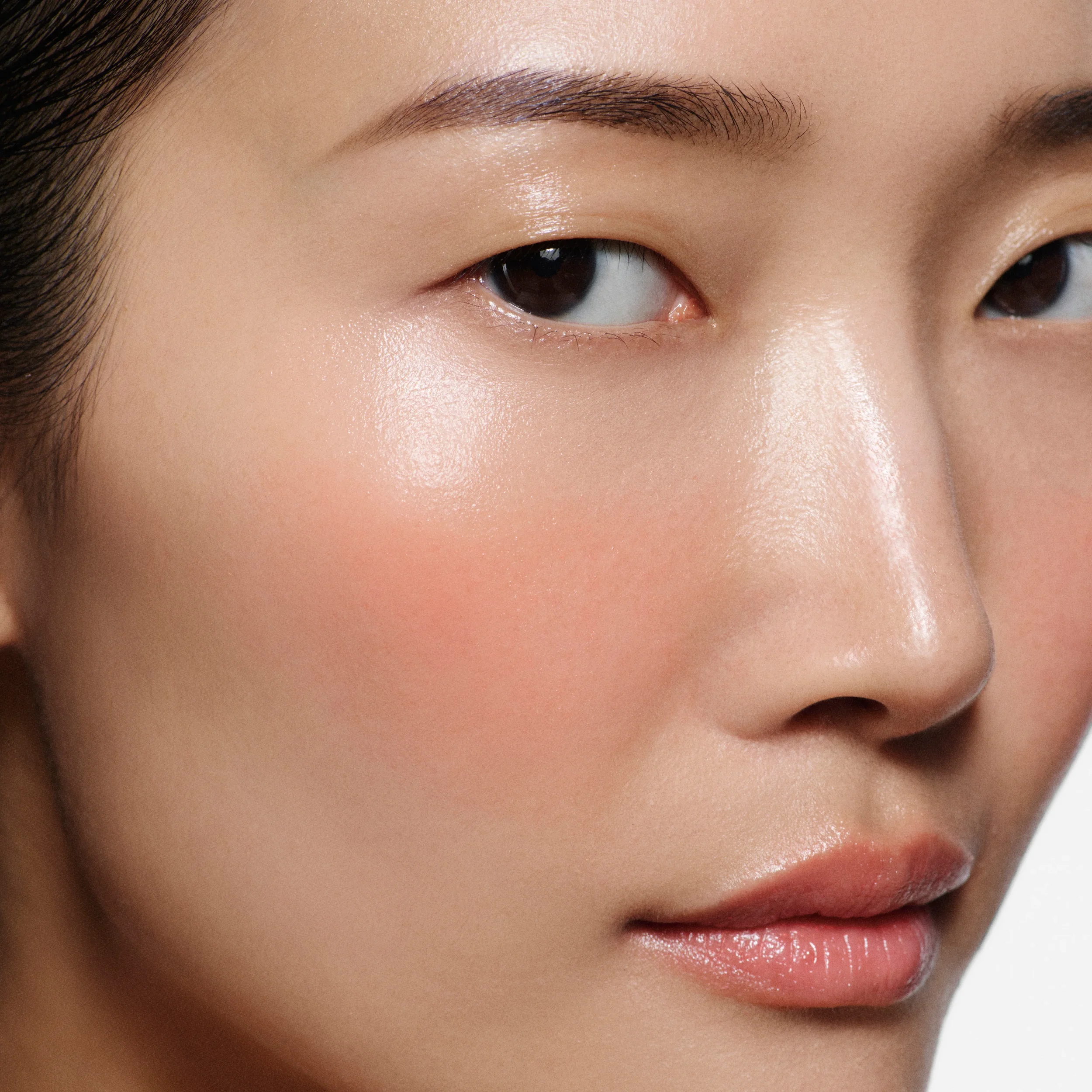 71_Blush-Stylus_Fresco_B_Macro_07041_R4_QC_1x1_5e371217-a920-42f8-97b4-085a421ca52f.webp