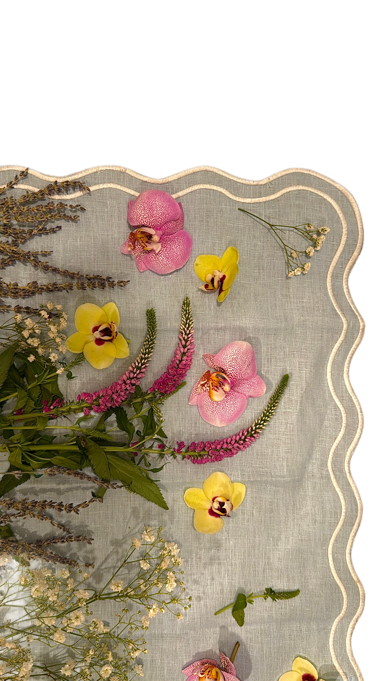 FD166D80-24E7-4F86-A6AB-8F79BBE876B0.png