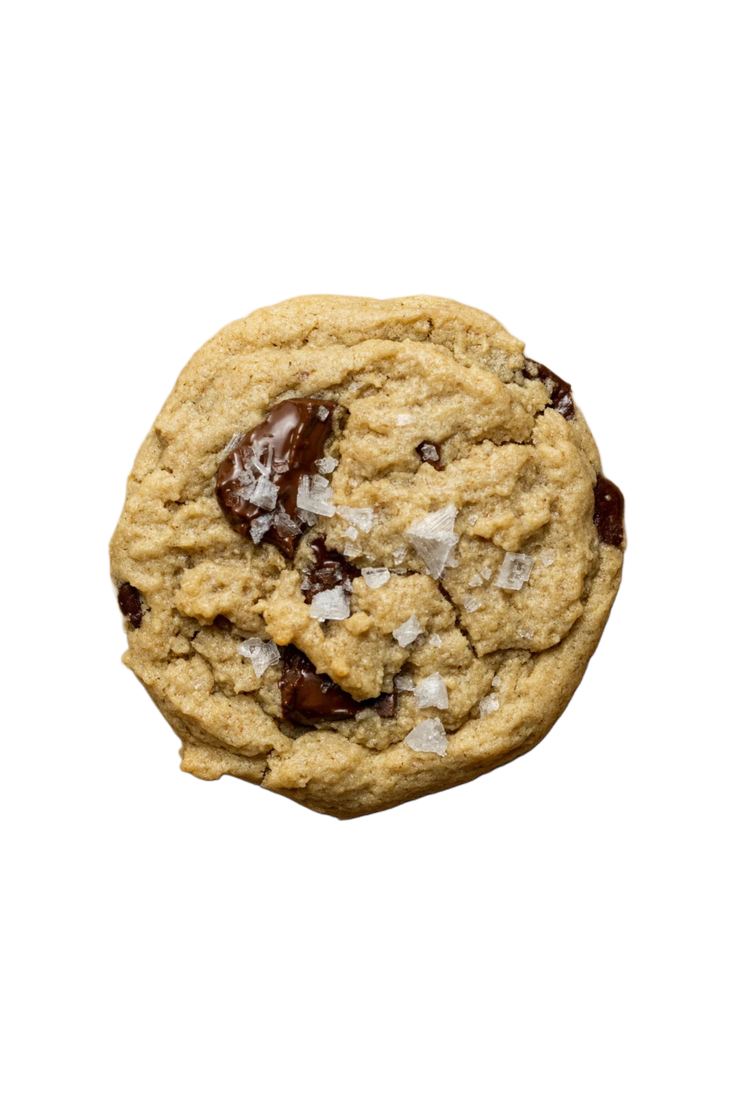 Gluten Free Protein Chocolate Chip Cookie