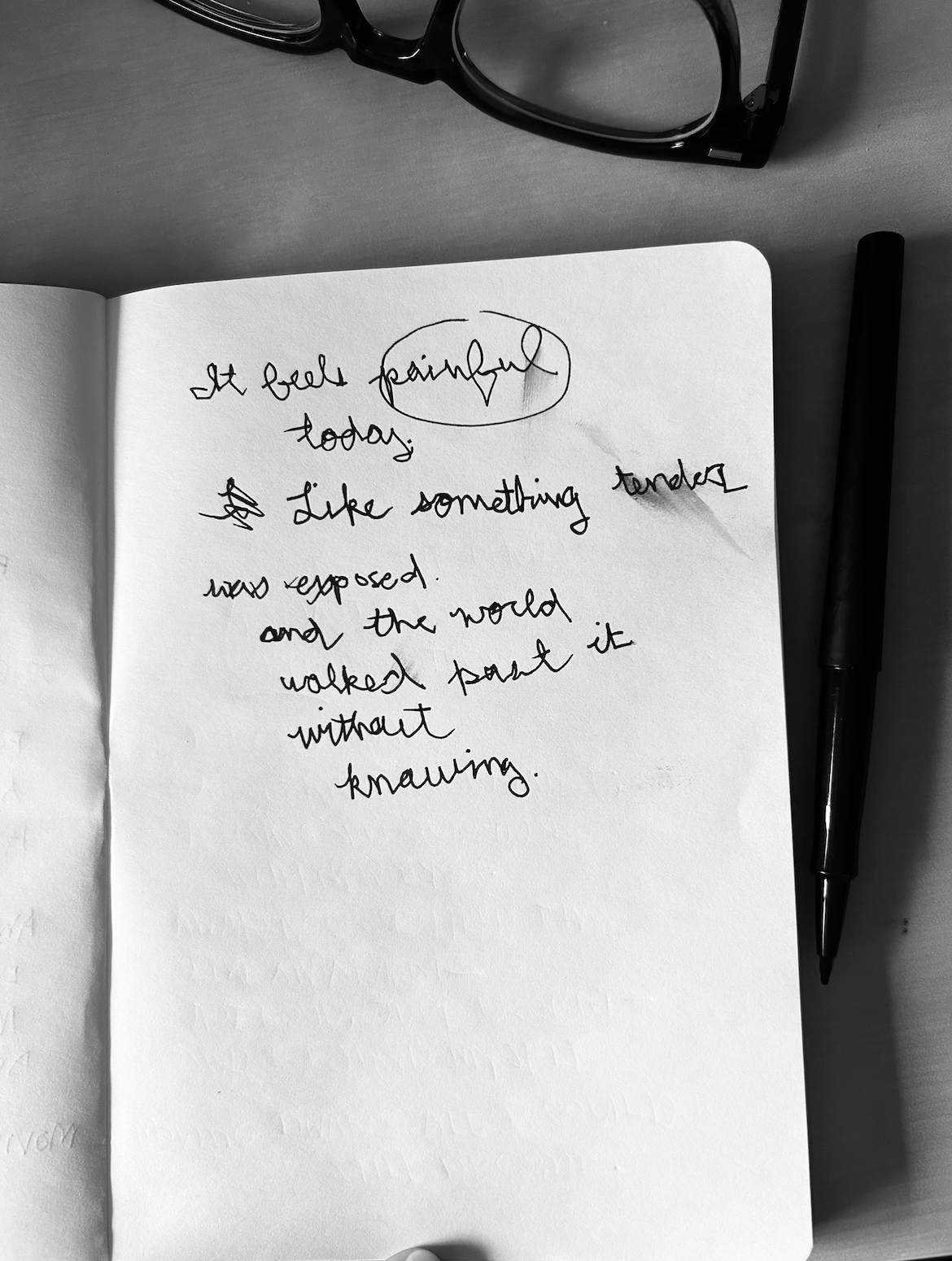 Screenshot 2026-02-11 at 12.25.04 PM.png