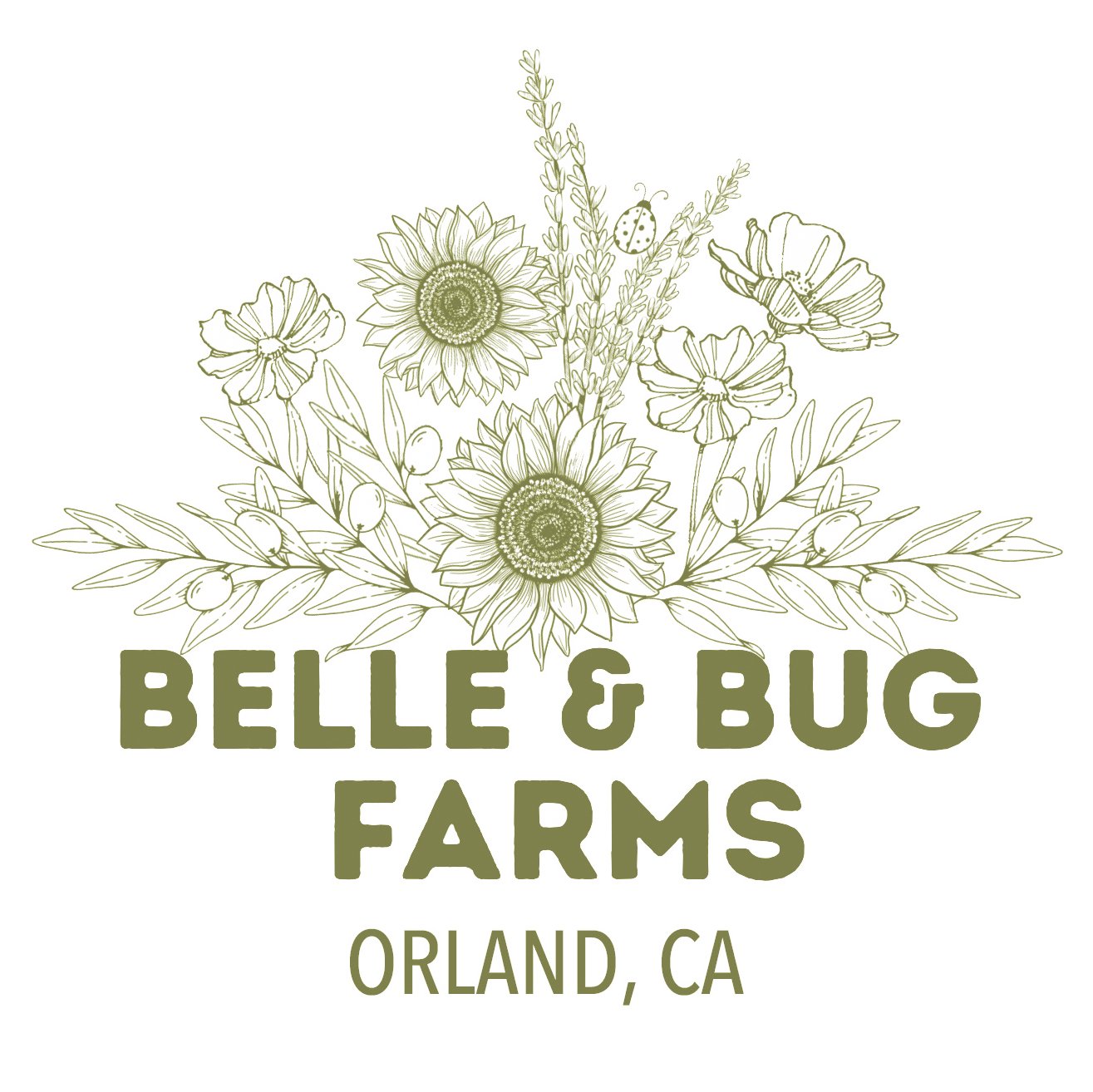 Belle &amp; Bug Farms