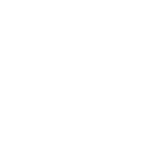 VideoPulse Studios