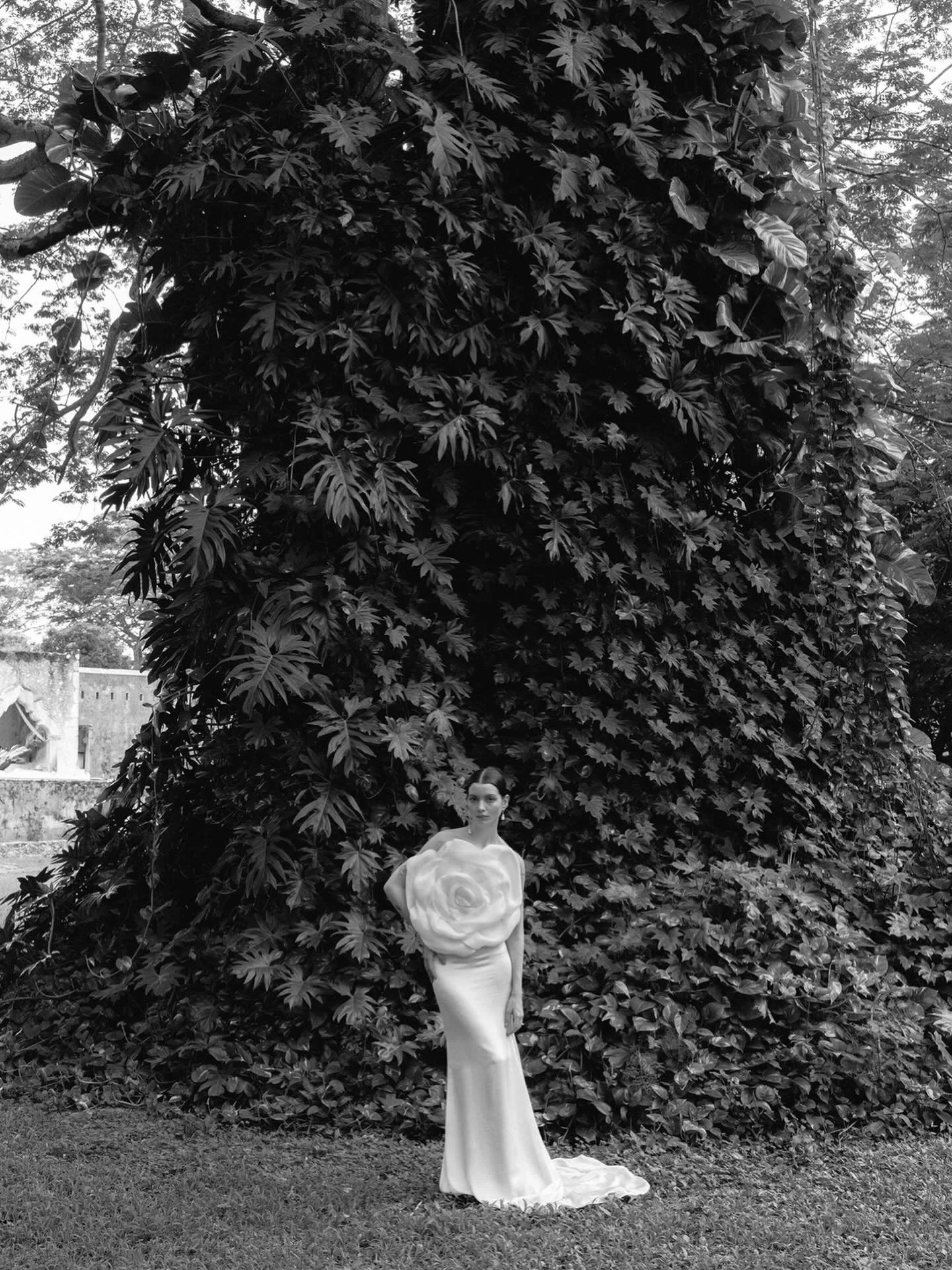 A gardens path &bull; Hacienda Subin 

Photo @marcusjollyweddings 
Venue @haciendasubin @laurakirar 
Dress @nicolefeliciacouture 
Model @sofiapuerta_ 
MUAH @geoprieto
Jewelry @avecjoyeria 

#haciendasubinrestoration 
#nicoleandfelicia #meridayucatan