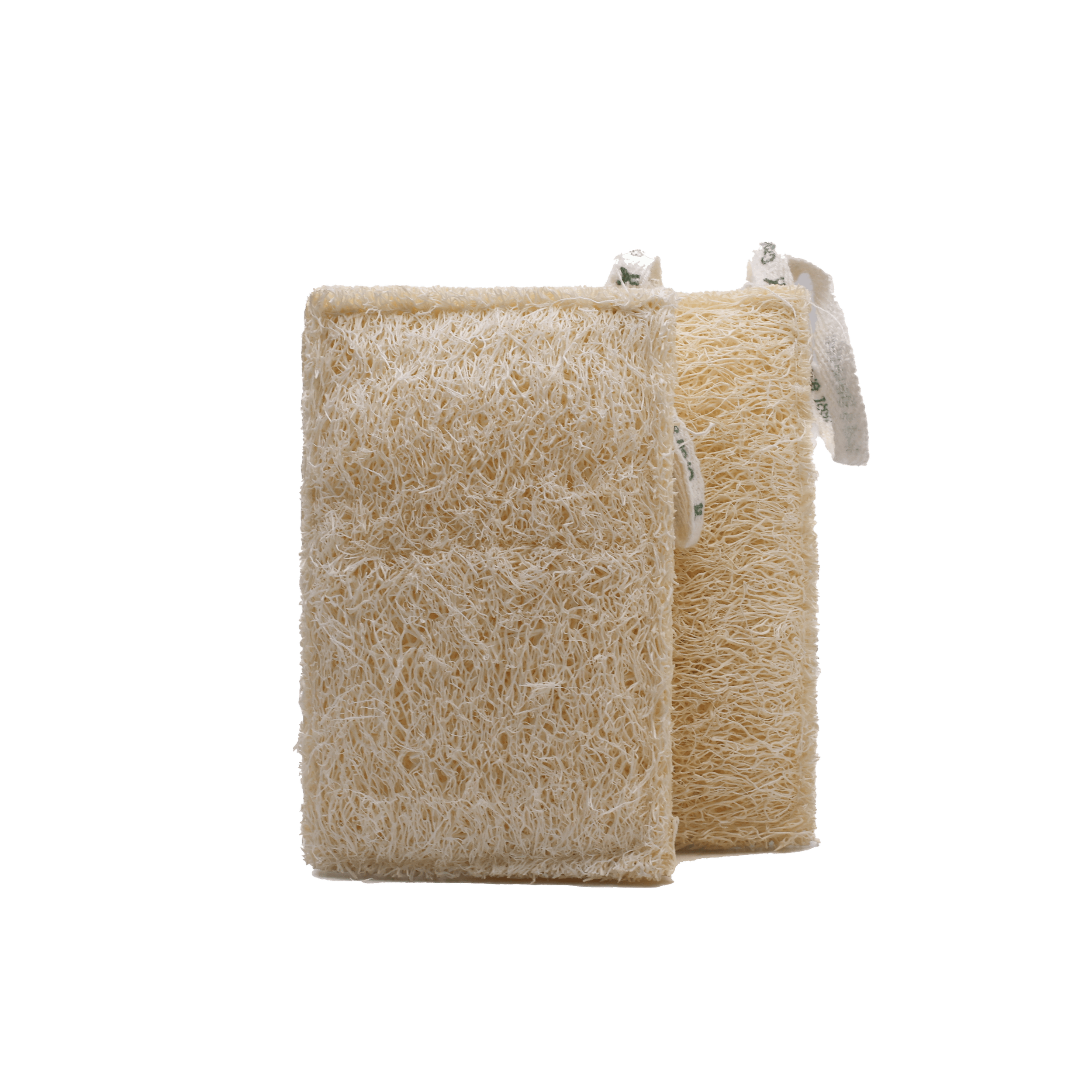 Loofah Sponge 2 Pack