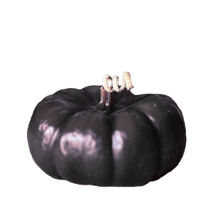 Beeswax+Pumpkin+orange.png