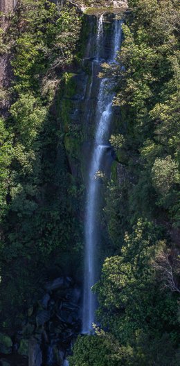 DSC_7347-Enhanced-NR.jpg