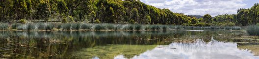 DSC_8141-Pano-Edit.jpg