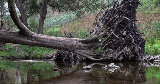 DSC_2119-Edit.jpg