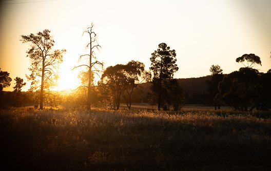 DSC_1144.jpg