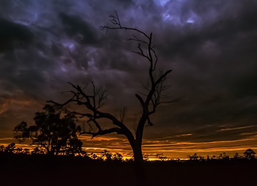 Sunrise.jpg