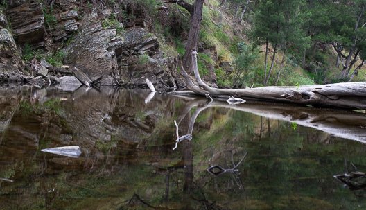 DSC_2124.jpg