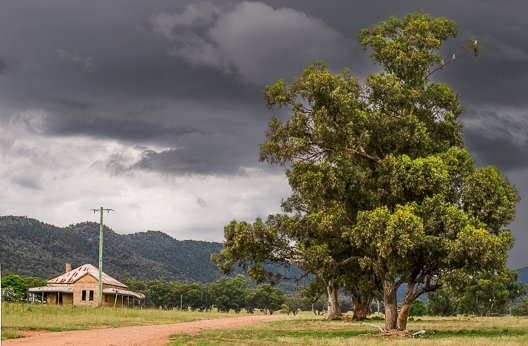 We were traveling near Orange a storm was building, then I saw the light on this gum tree near a deserted house. I couldn't have planned it better.