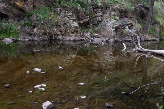 DSC_2112.jpg
