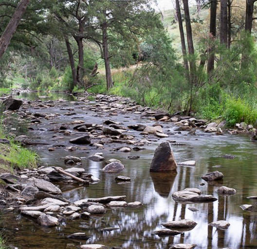 We found a place, that once was panned for gold. Maybe there is still some left, but now, it's just a quiet stream.