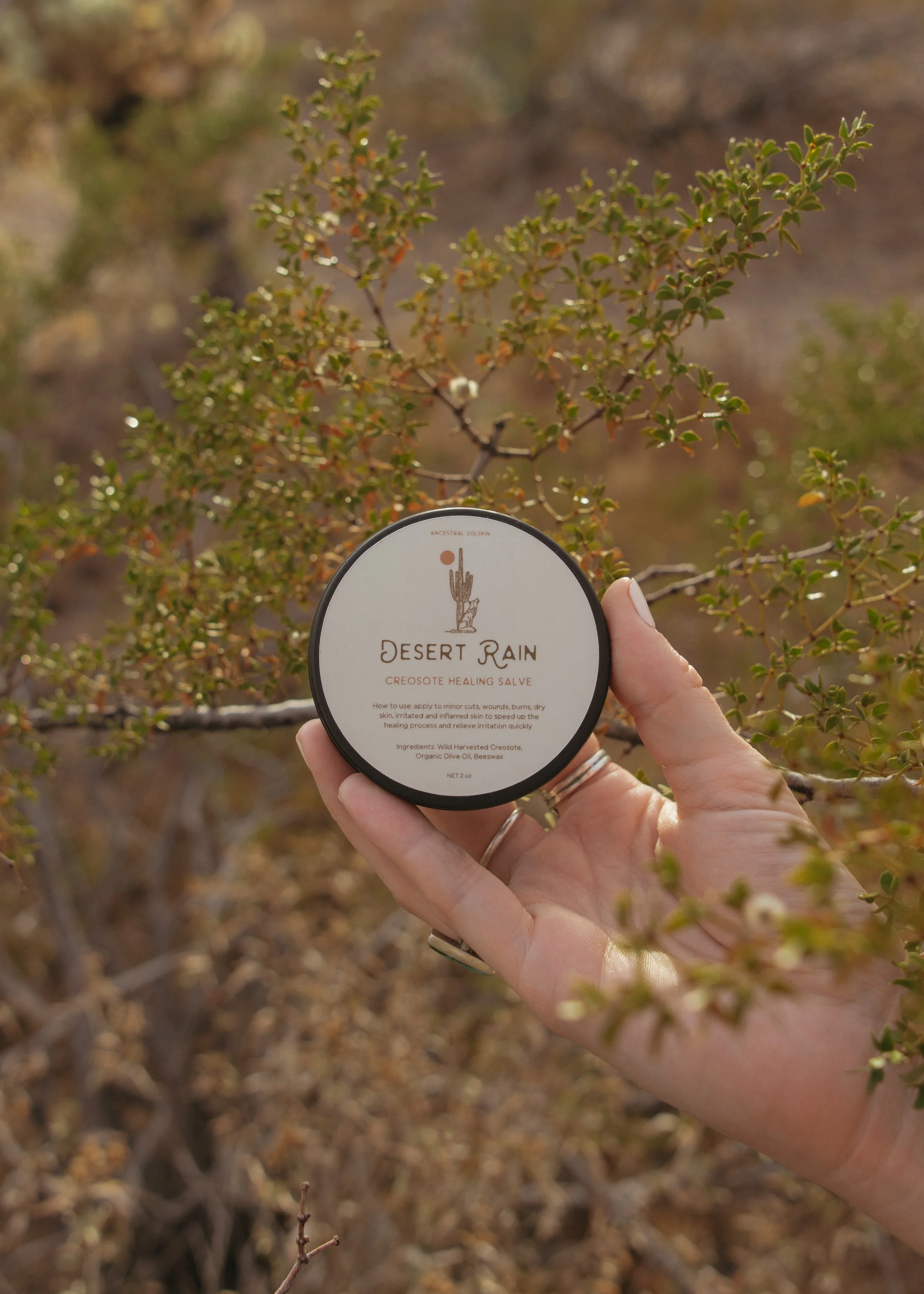 Desert Rain - Creosote Healing Salve