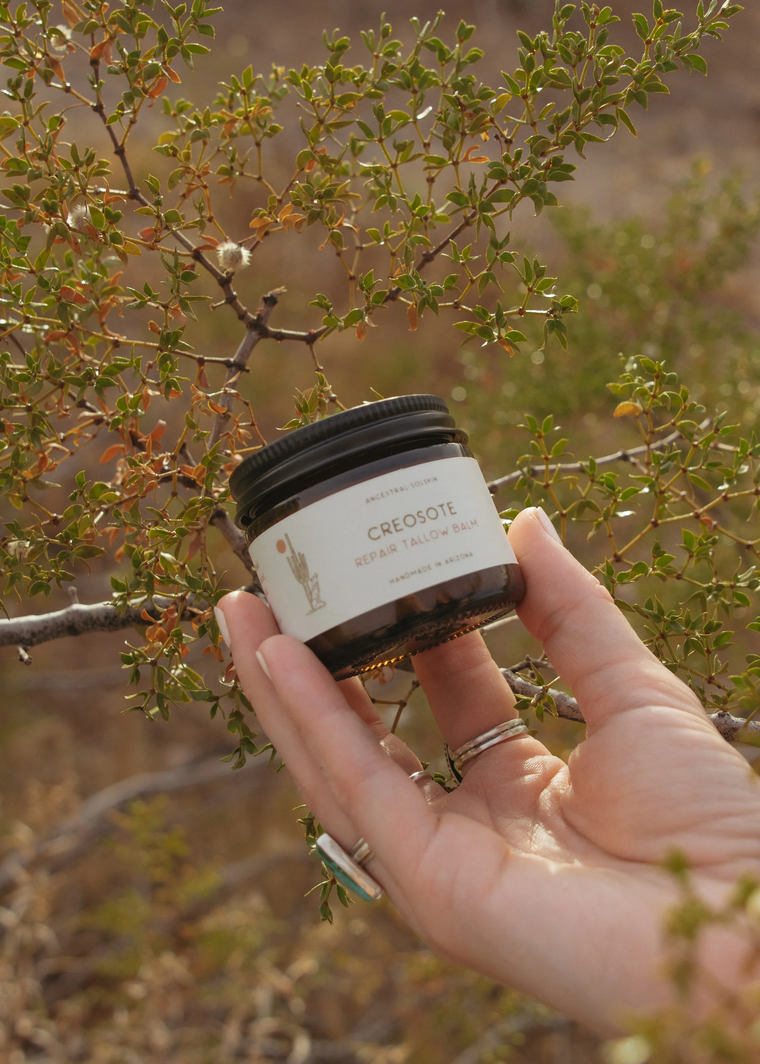 Creosote repair 3.jpg