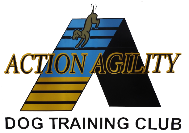 ACTION AGILITY