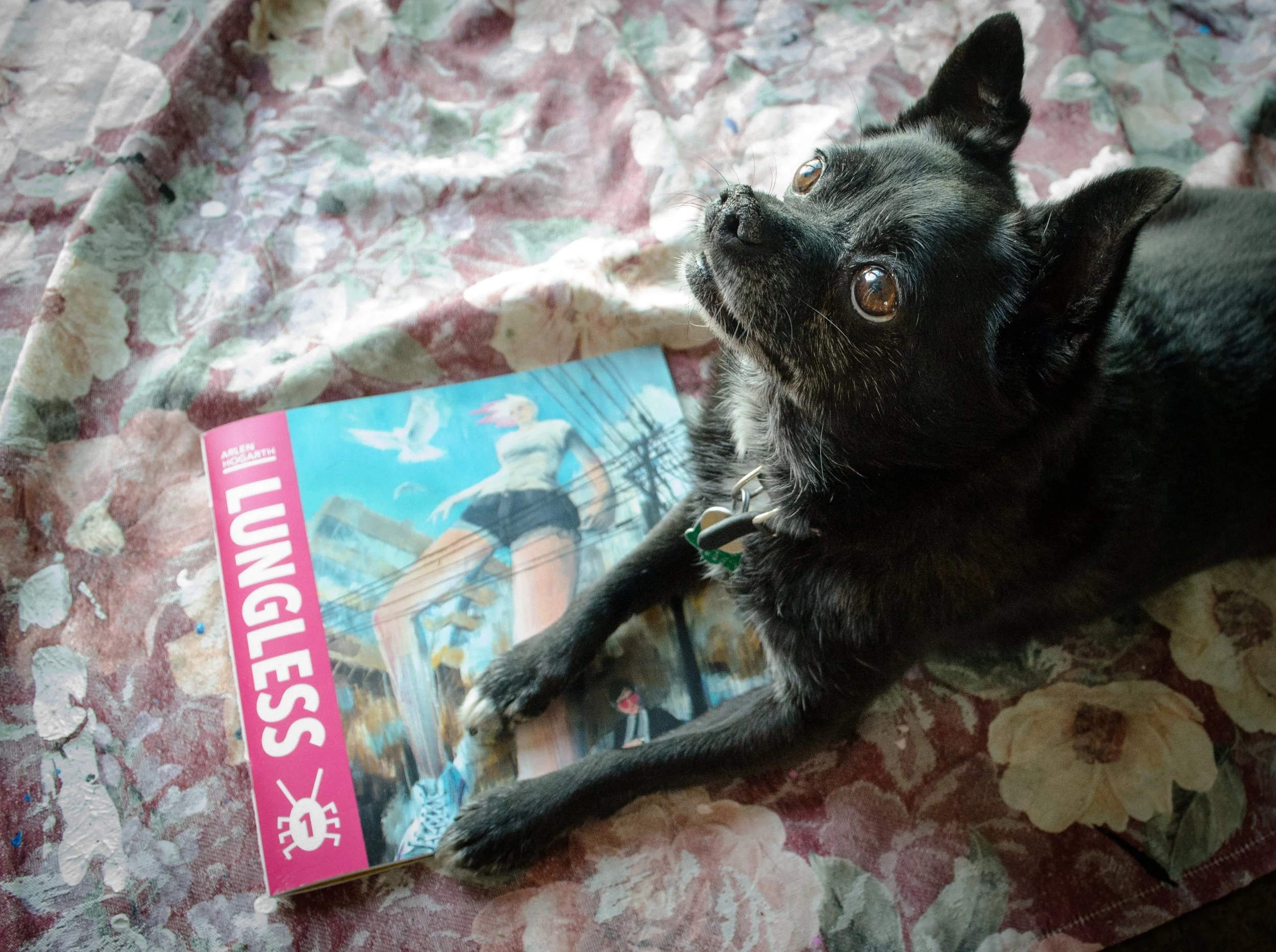 send in assignment-1-2.jpg