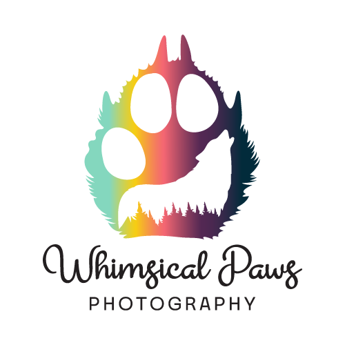 Whimsical Paws Photography