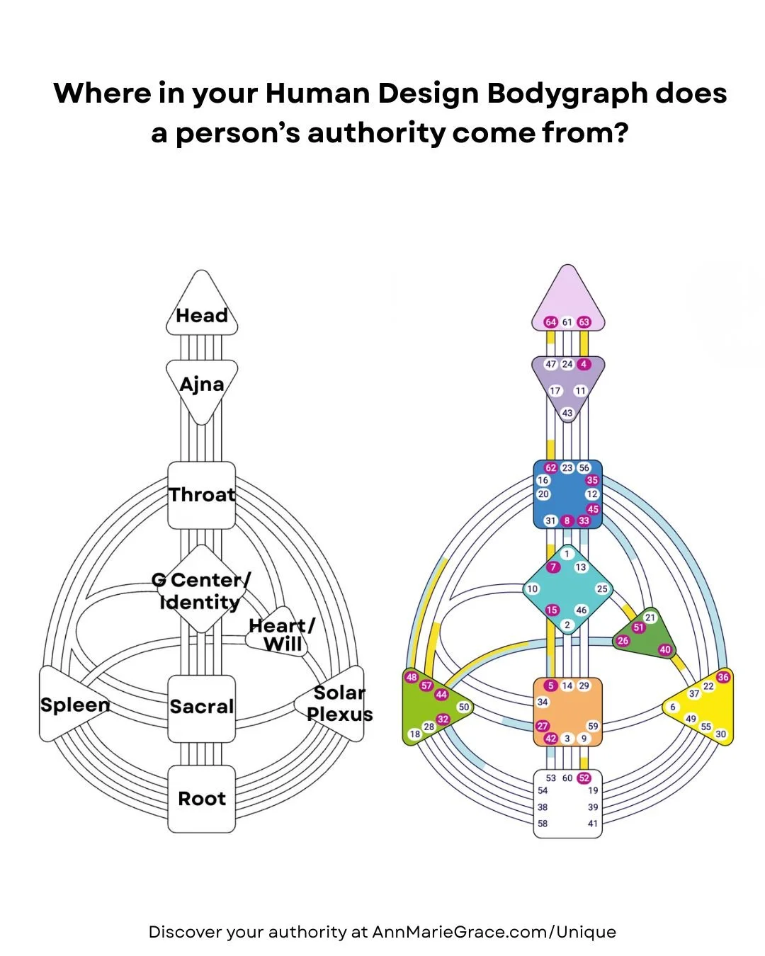 Understanding &amp; Making Aligned Decisions: Your Authority in Human Design