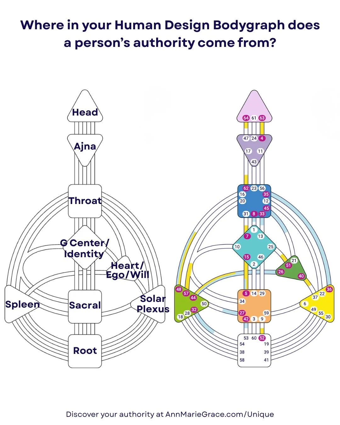 Making Aligned Decisions - Your Authority in Human Design — Ann Marie Grace