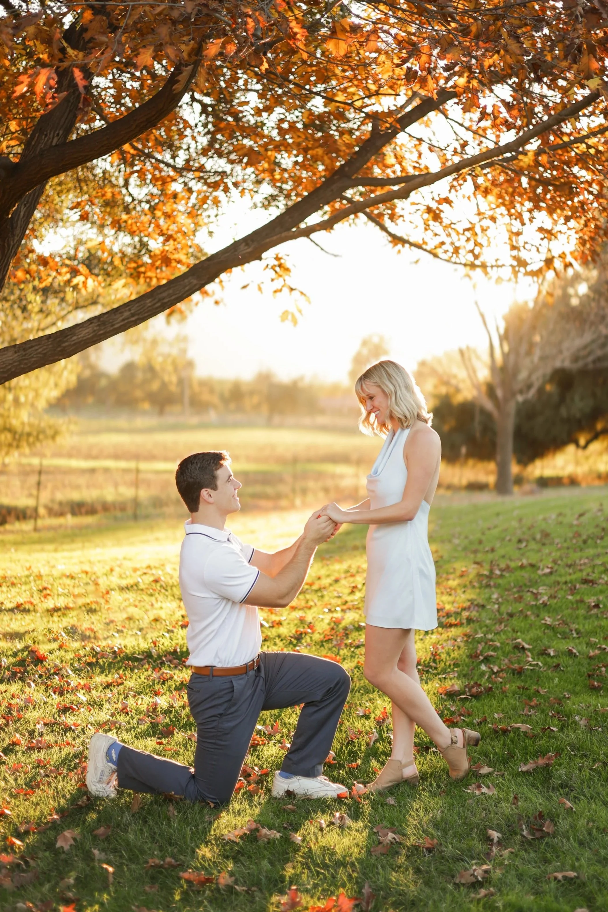 A man proposing to a woman in a park during autumn sunset, with falling leaves and trees with orange foliage.