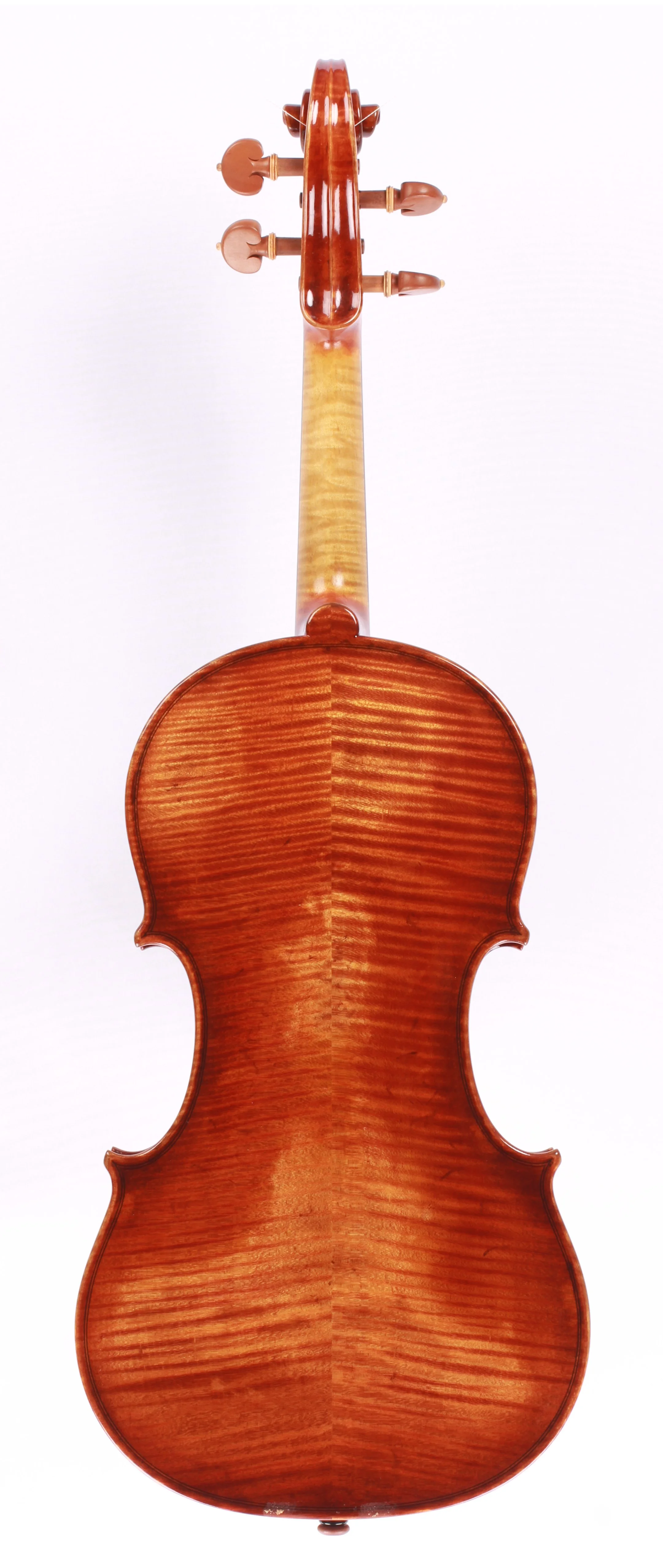 8916_back.JPG