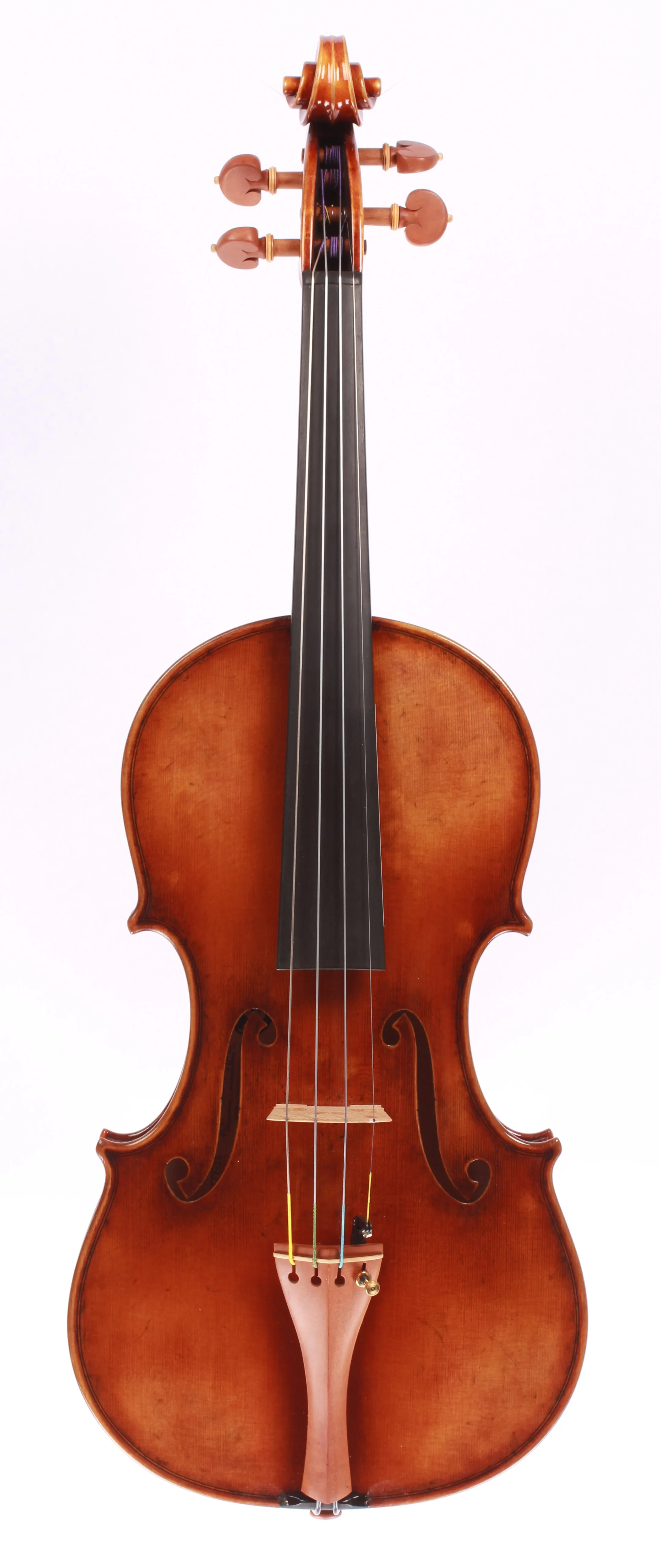 Mingjiang Zhu 909G